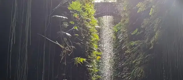 Waterfall in a jungle cenote